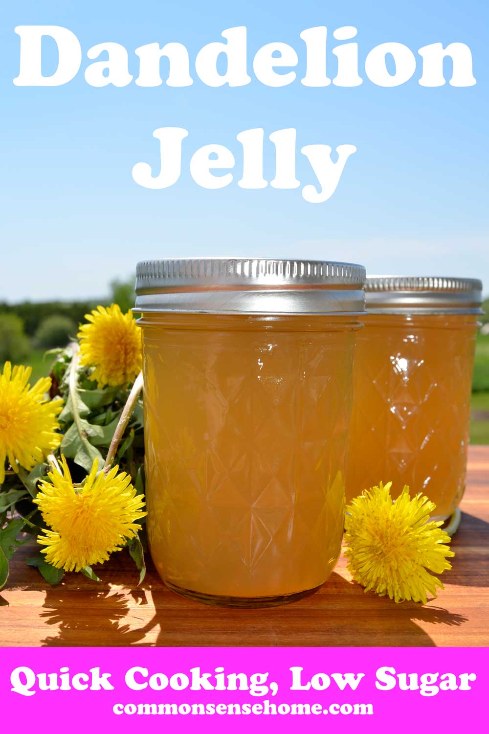 easy dandelion jelly recipe