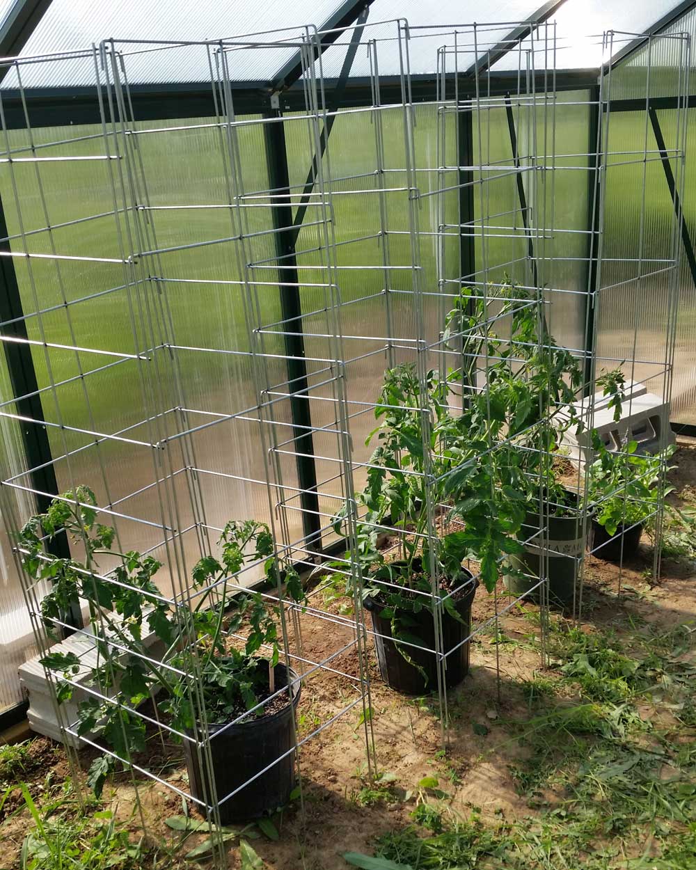 tall tomato plant cages