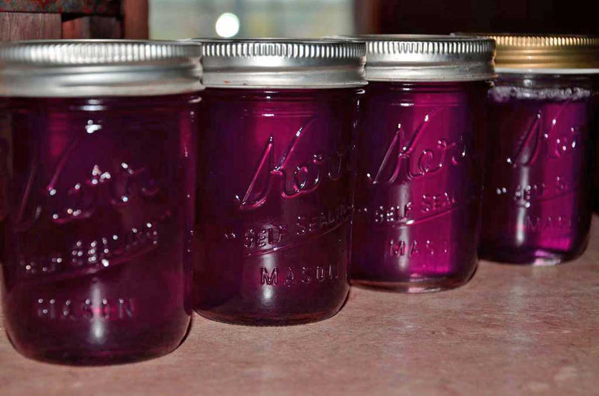 violet jelly