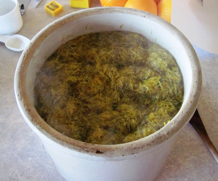 dandelion petal tea