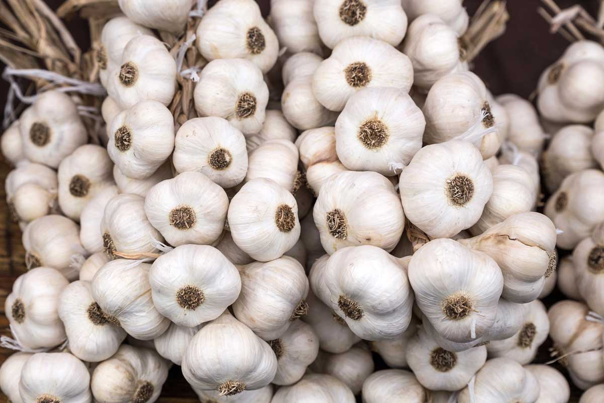 garlic storage braids