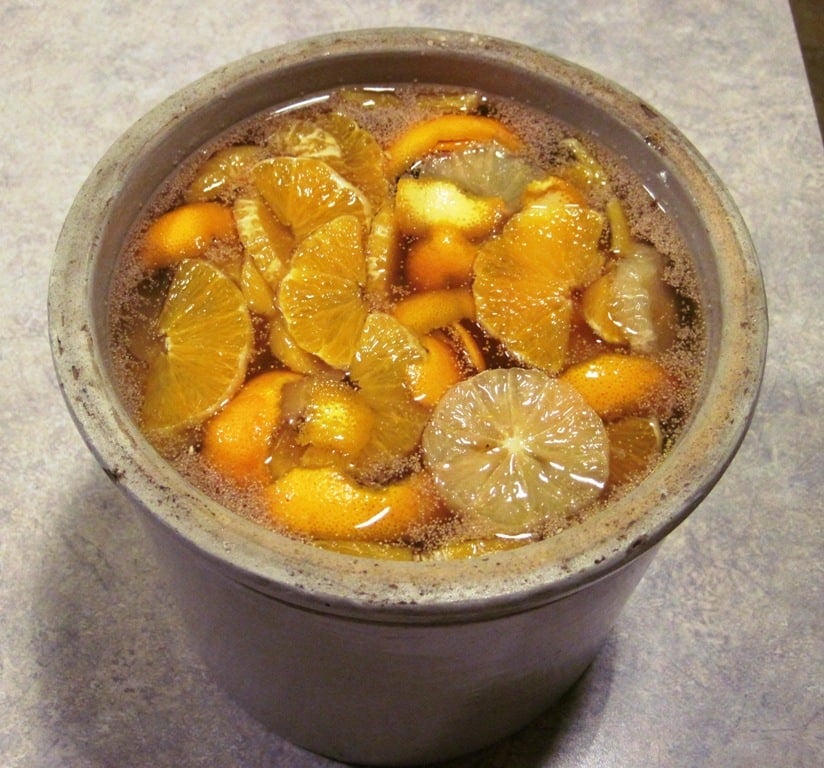 initial ferment dandelion wine