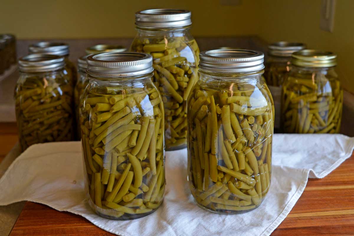 canned green beans on kitchen counter