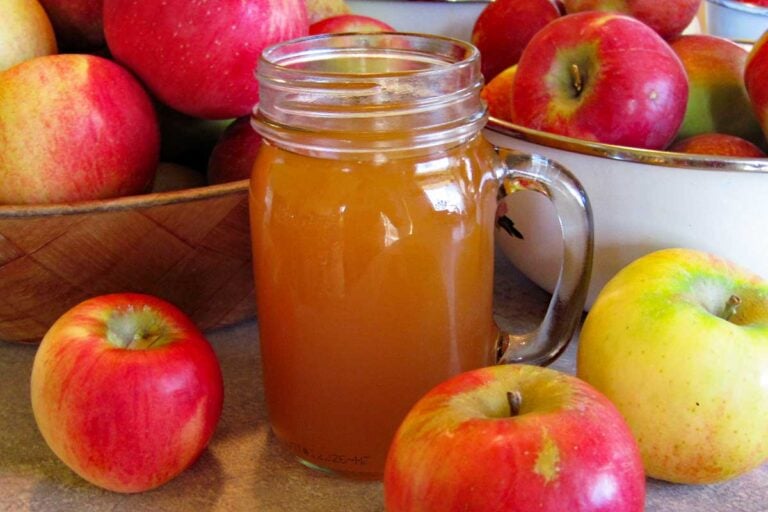 easy homemade hard cider