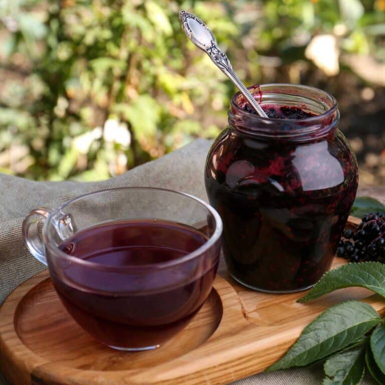 elderberry tea and jam