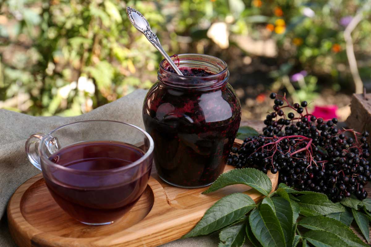elderberry tea, jam, and berries