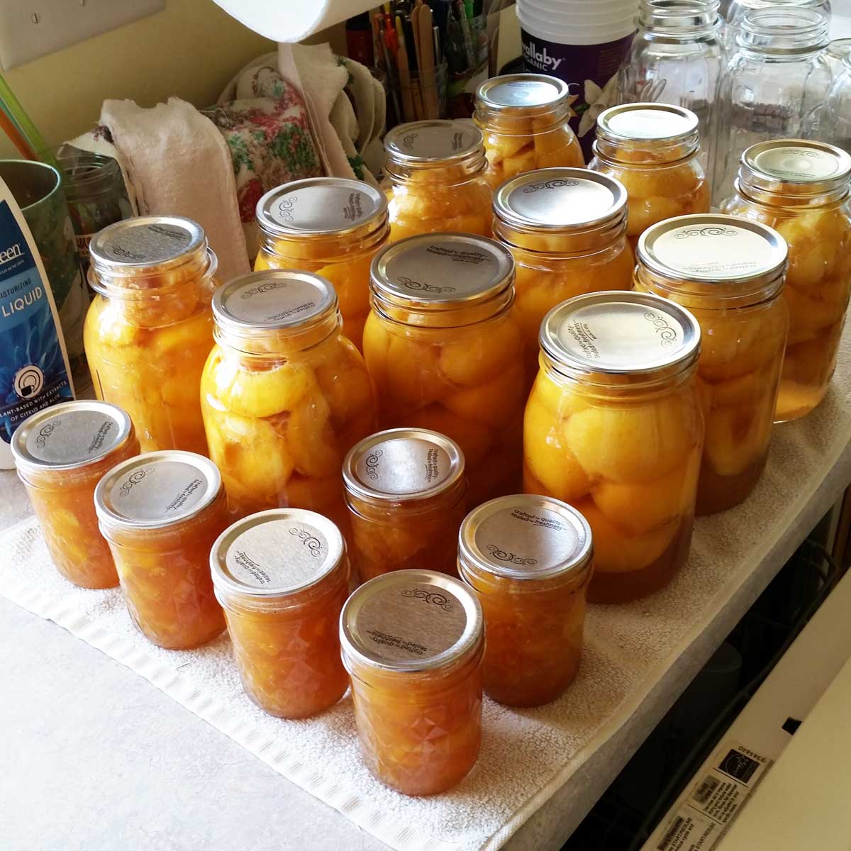 jars of peaches and peach jam
