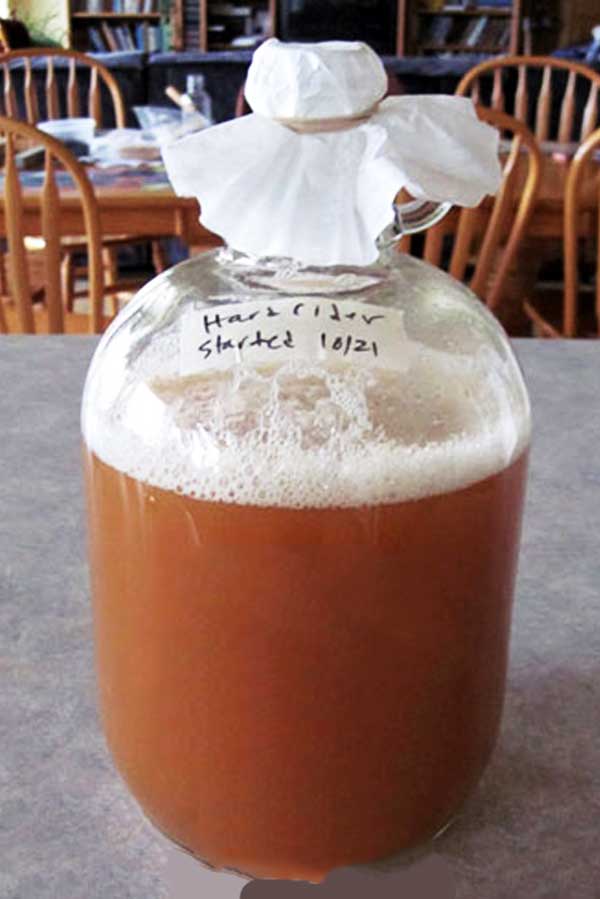 making hard cider in a carboy
