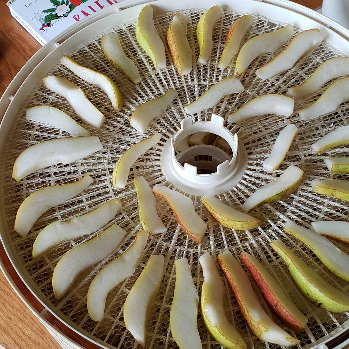 dehydrating pears in snackmaster dehydrator