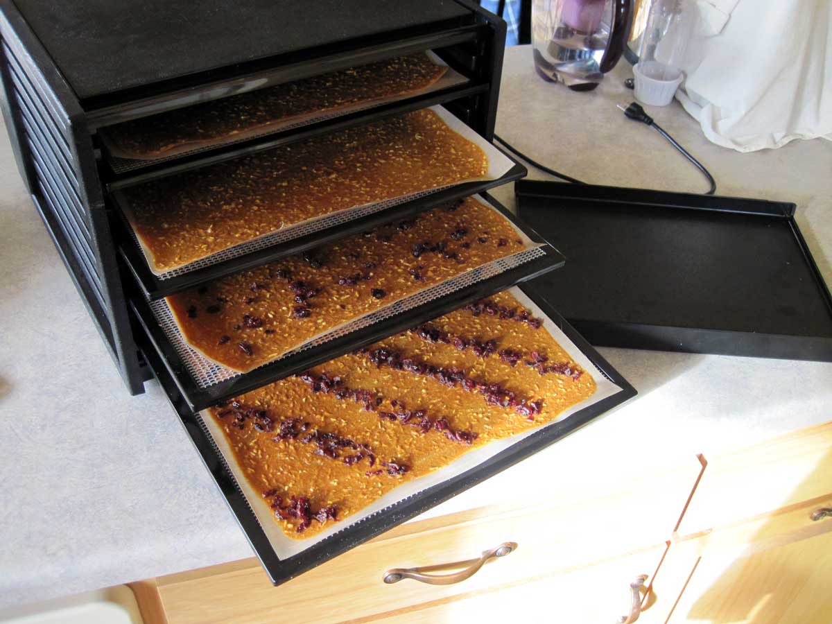 dried pumpkin leather in dehydrator