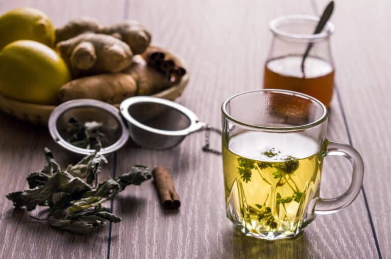 natural stomach flu treatment herbal tea