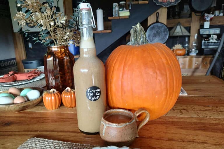 pumpkin pie syrup