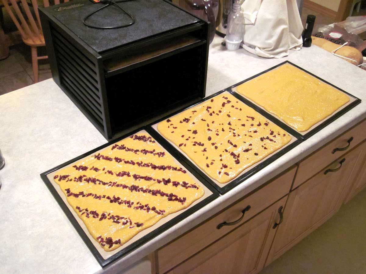 pumpkin puree on dehydrator sheets