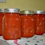 home canned salsa recipe for canning