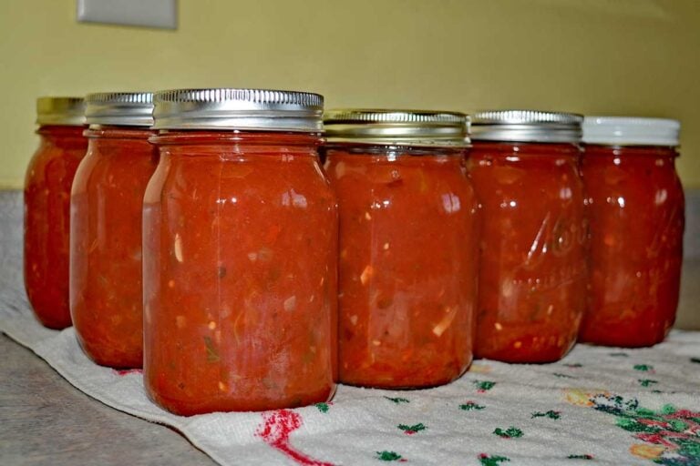 home canned salsa recipe for canning