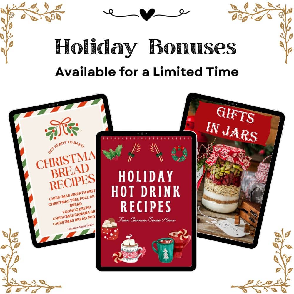 Bread Book Holiday Bundle