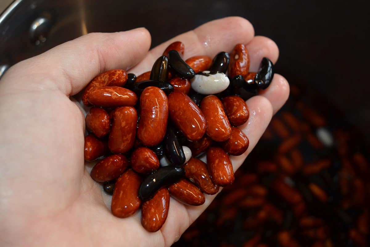 assorted dried beans after soaking