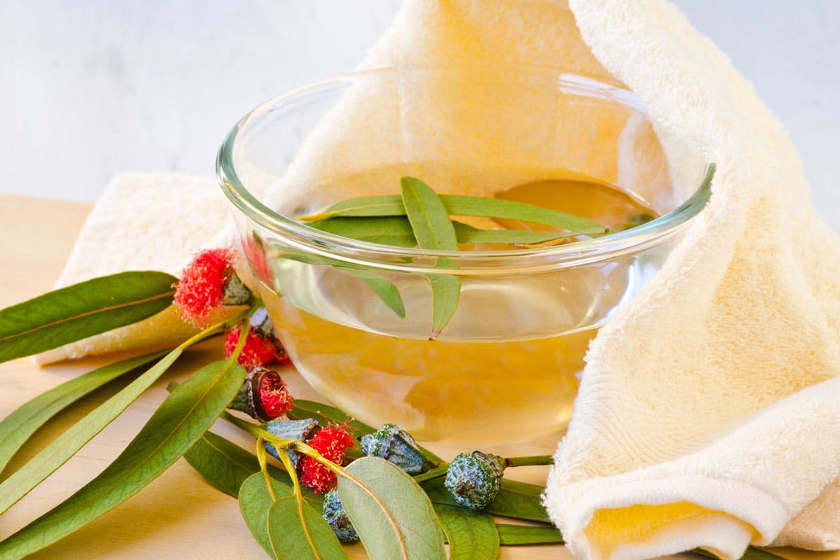 Eucalyptus steam inhalation