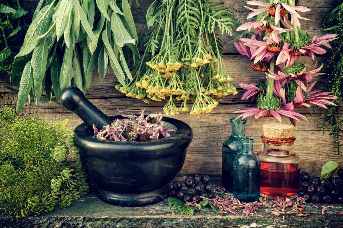 natural herbal antibiotics