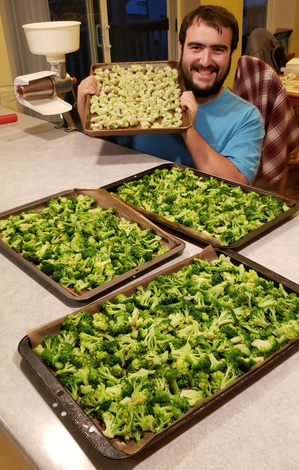 broccoli and cauliflower harvest