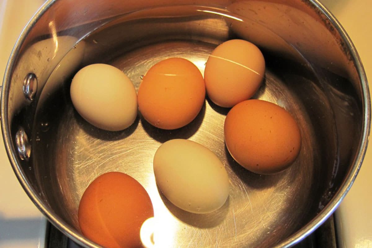 eggs in a pot of water