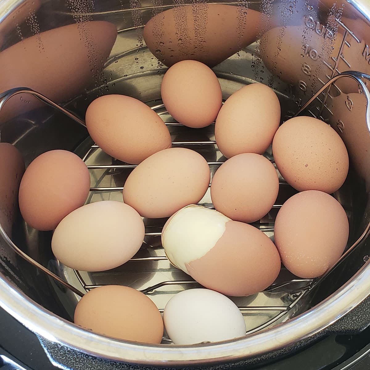 hard boiled eggs in an instant pot