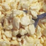 homemade cottage cheese - large curd