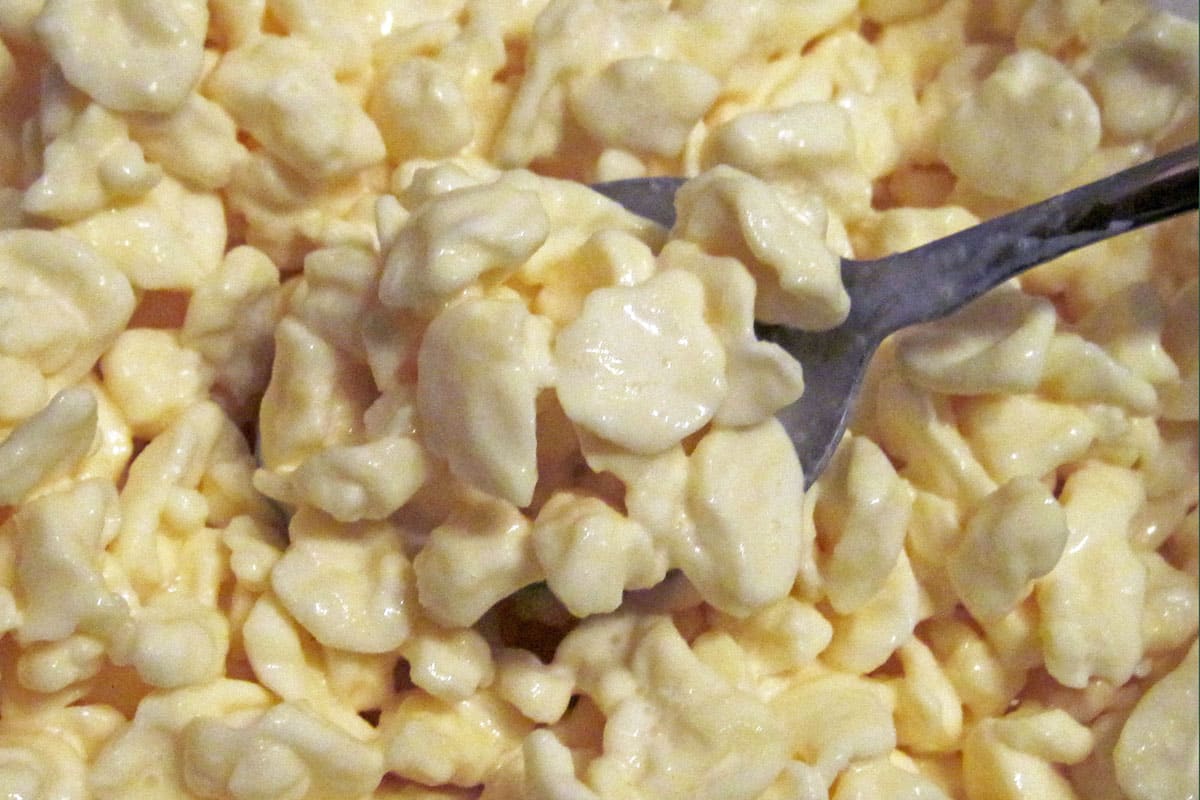 homemade cottage cheese - large curd