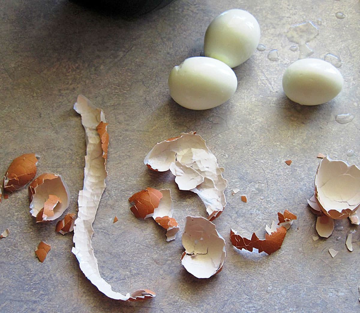 peeled boiled eggs with shells