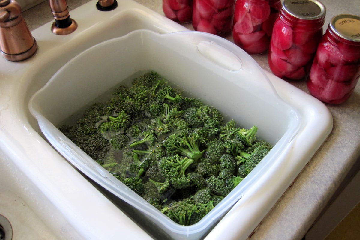 soaking broccoli