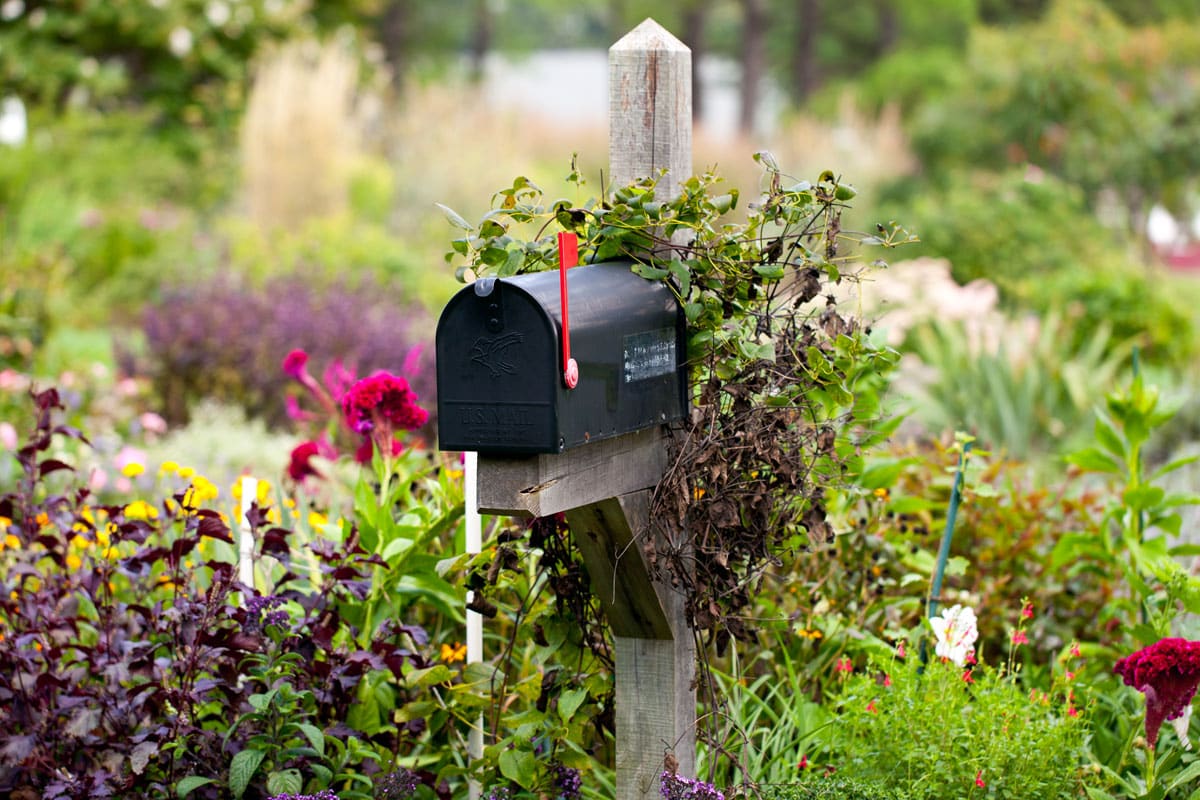 country mailbox with flowers