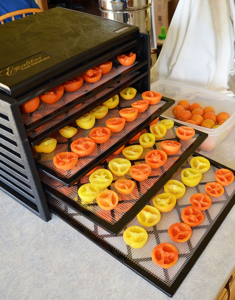 dehydrating tomatoes