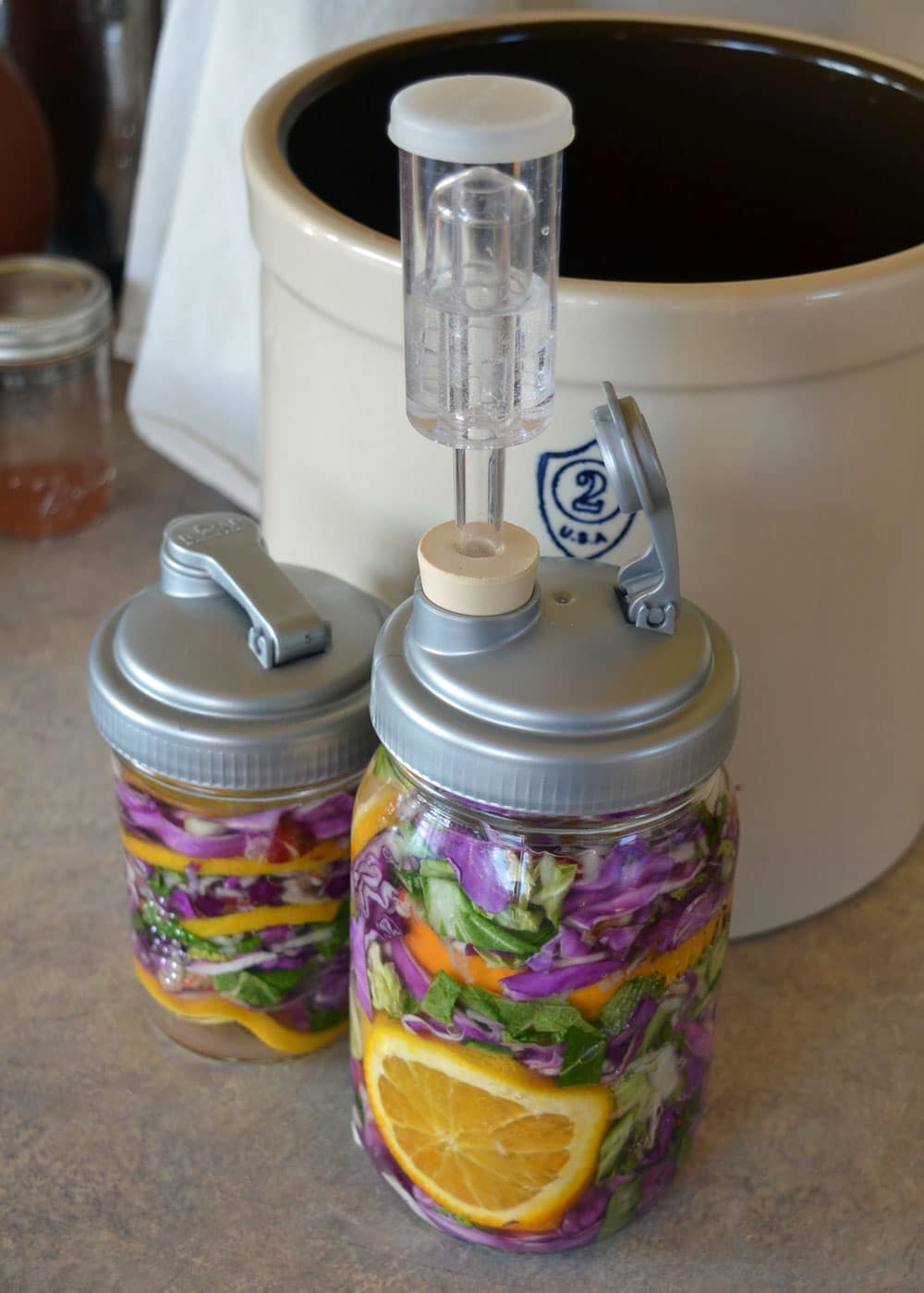 fermenting for food preservation