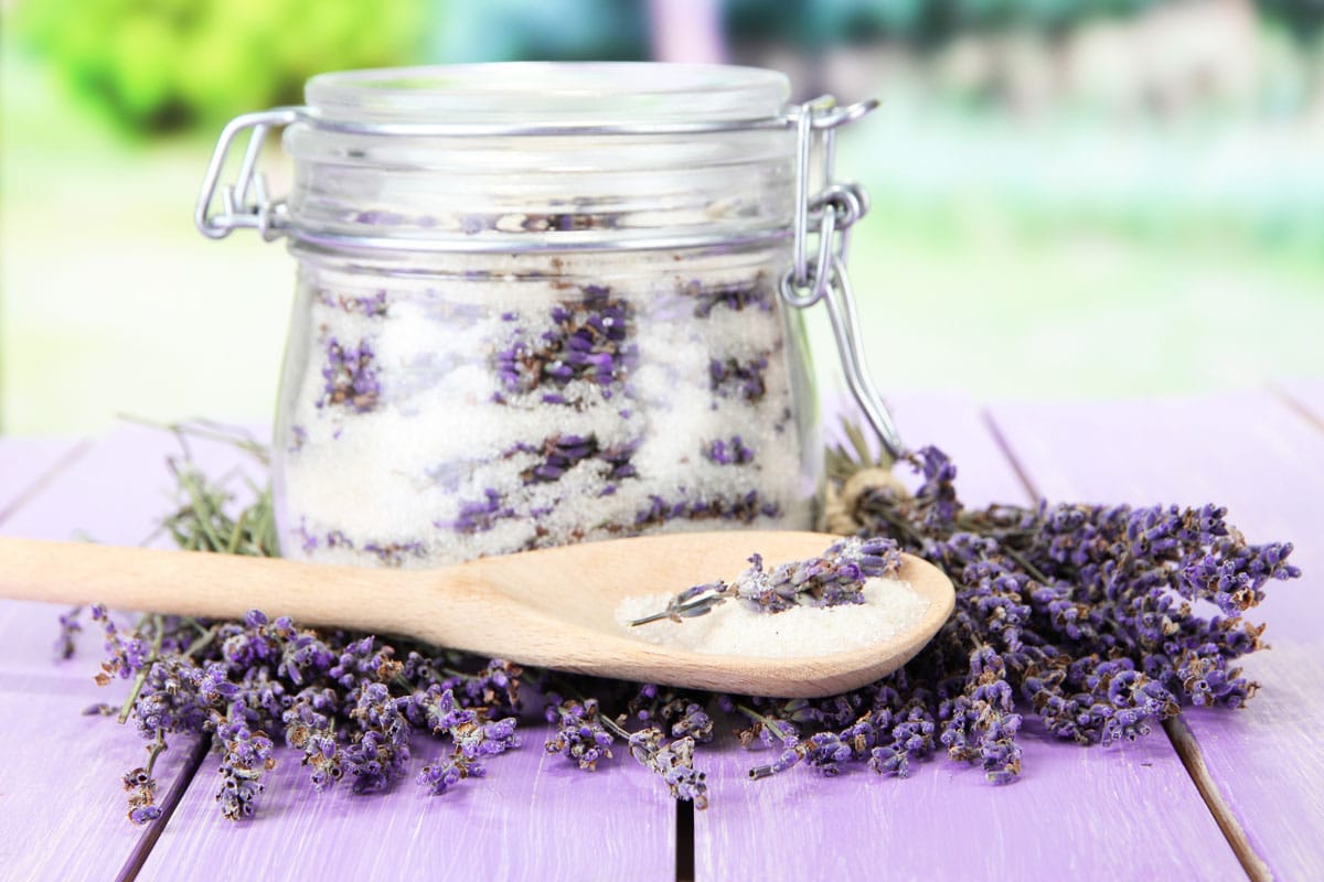 preserving lavender in sugar