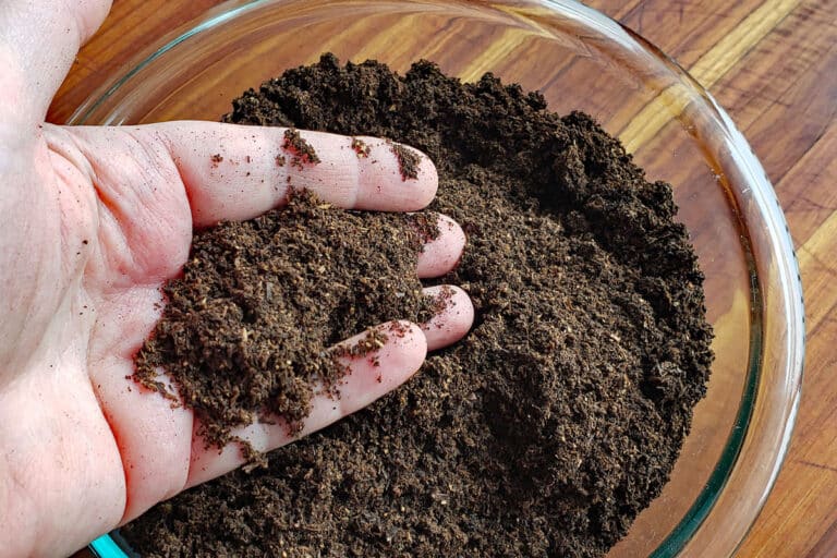 bowl of dried spent coffee ground for the garden