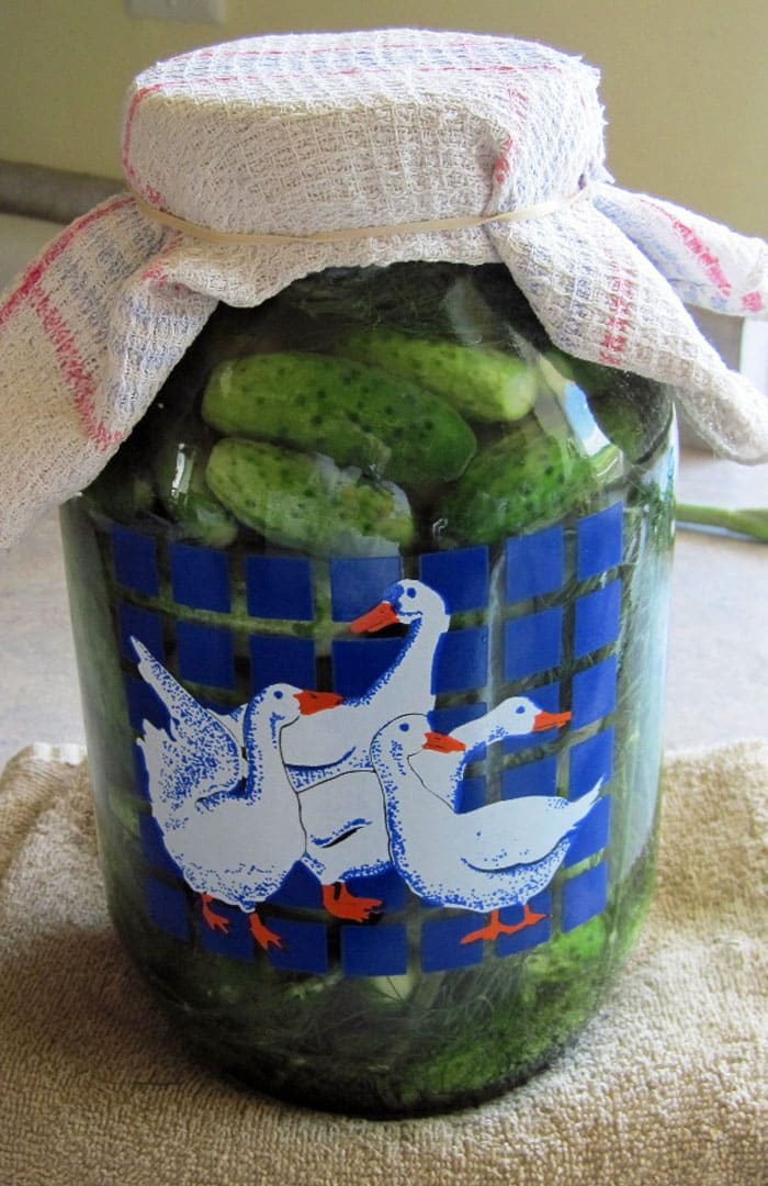 vinegar pickling