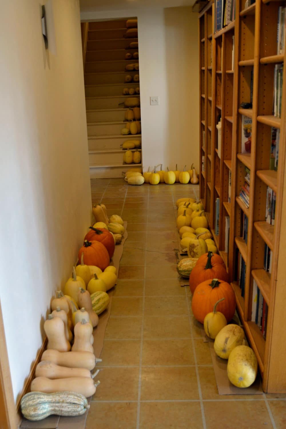 winter squash storage