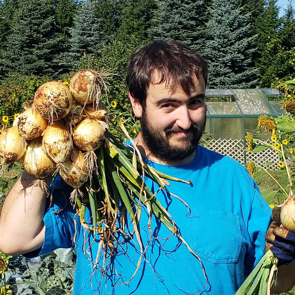 bearded man holding homegrown onions