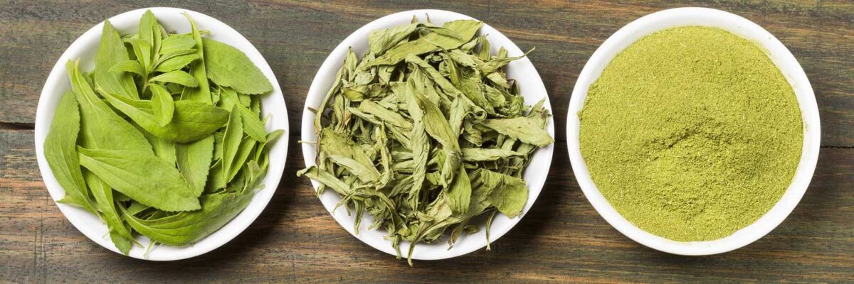 stevia leaves - fresh, dry, powdered