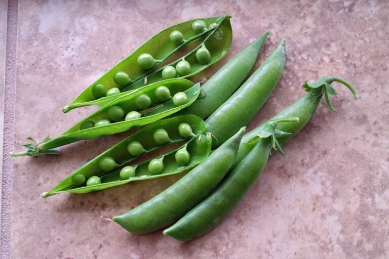 home grown peas