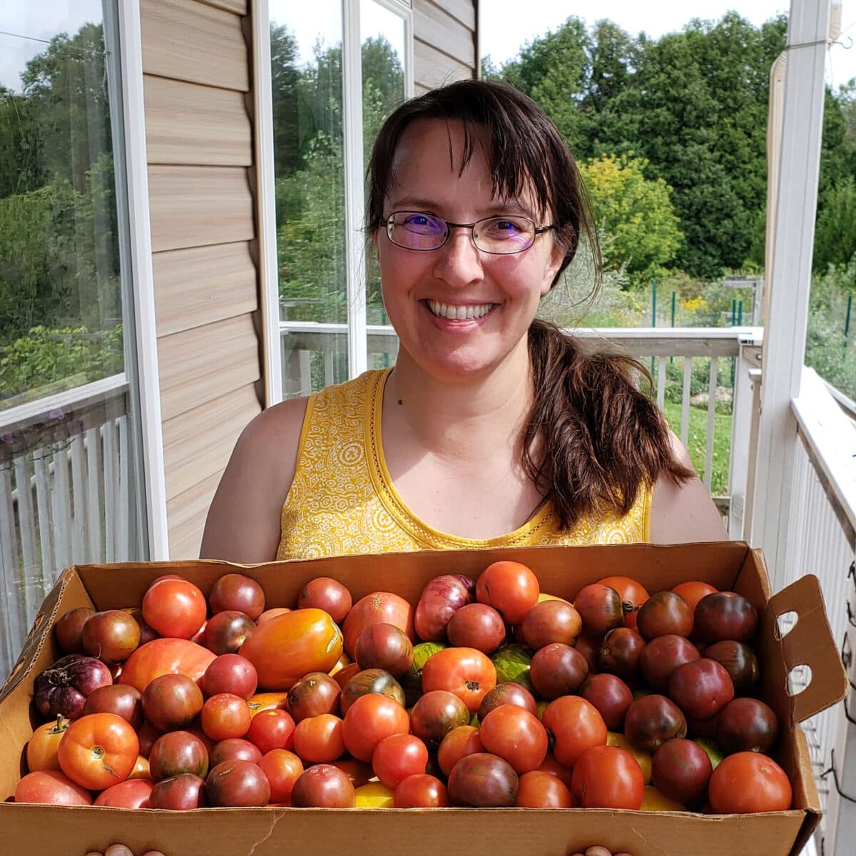 woman holding abundant harvest of tomatoes