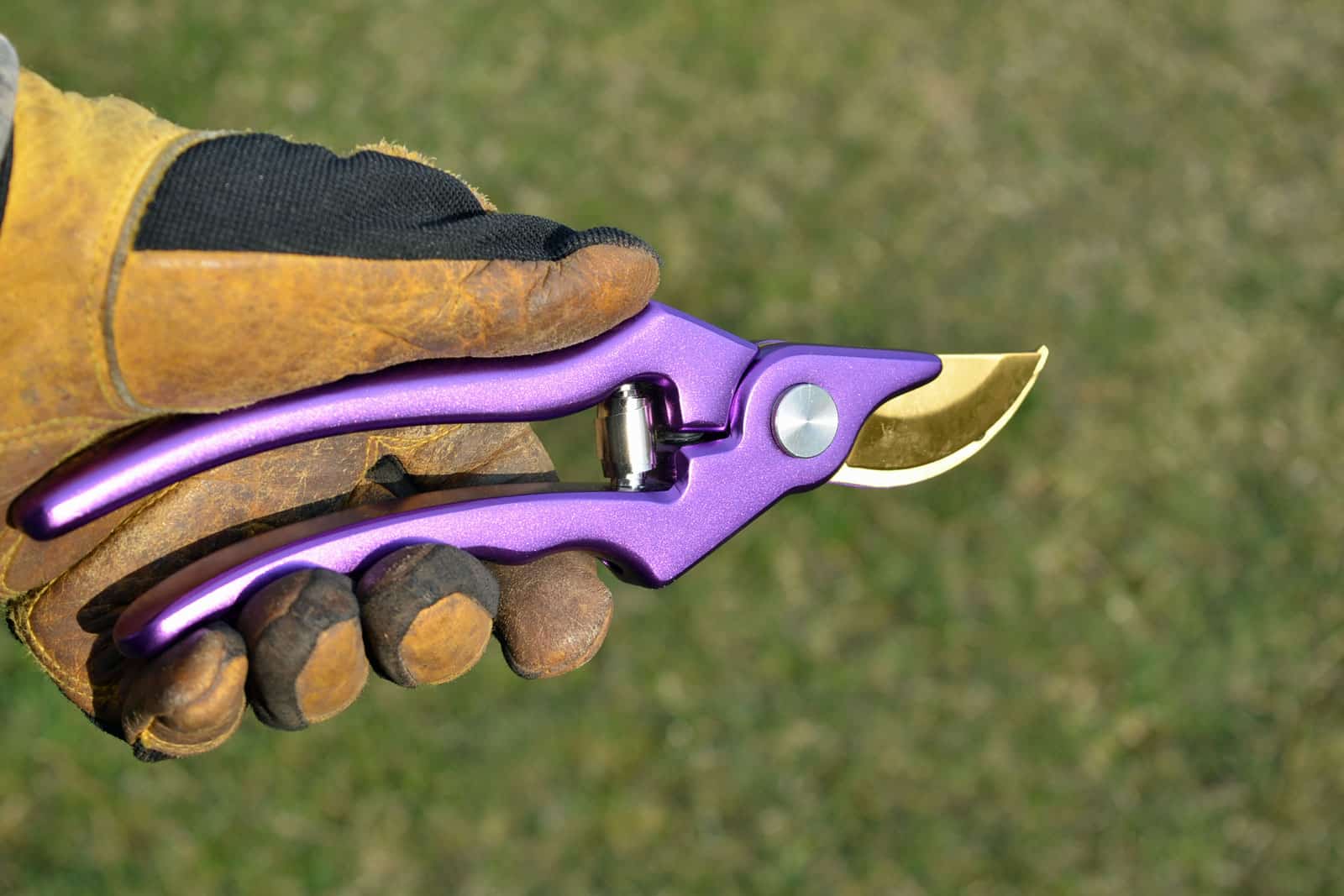 pruning shears in hand