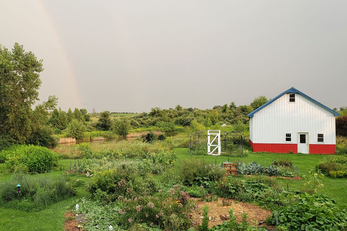 garden with pond and rainbow