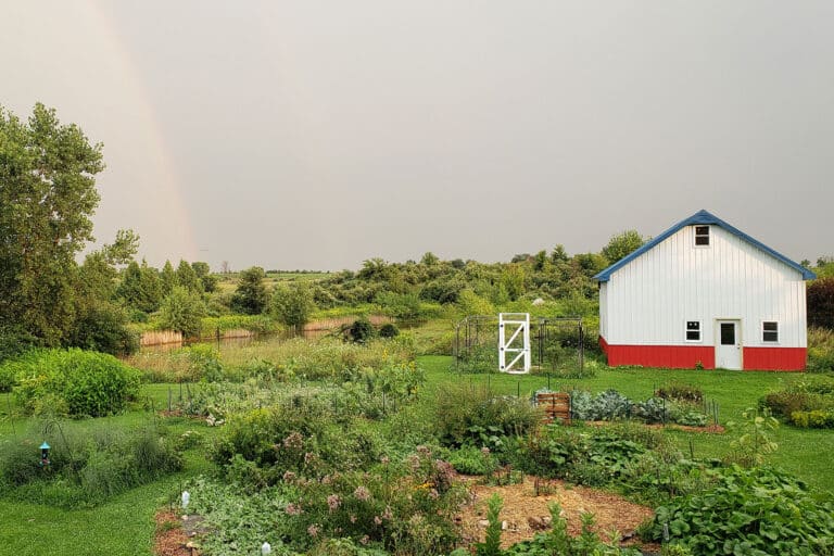 garden with pond and rainbow