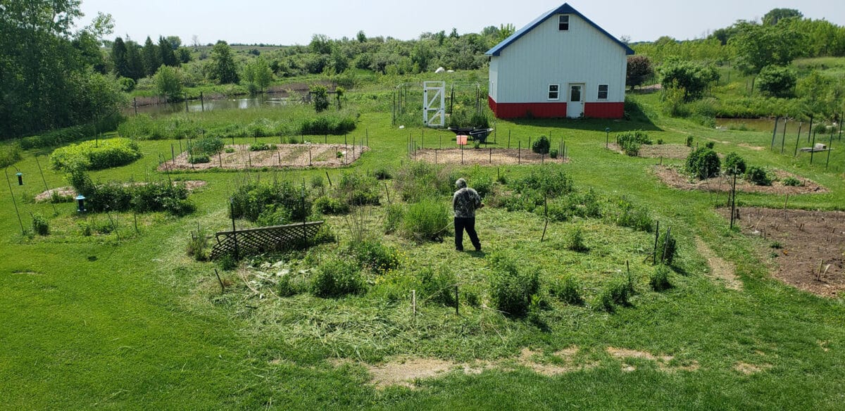 garden-wheel-6-14-2025