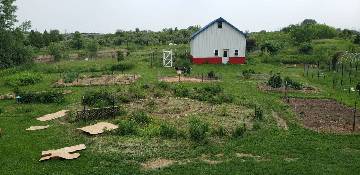 garden-wheel-6-15-2025