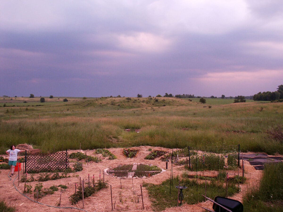 Looking over the wheel garden beds, July 1, 2006
