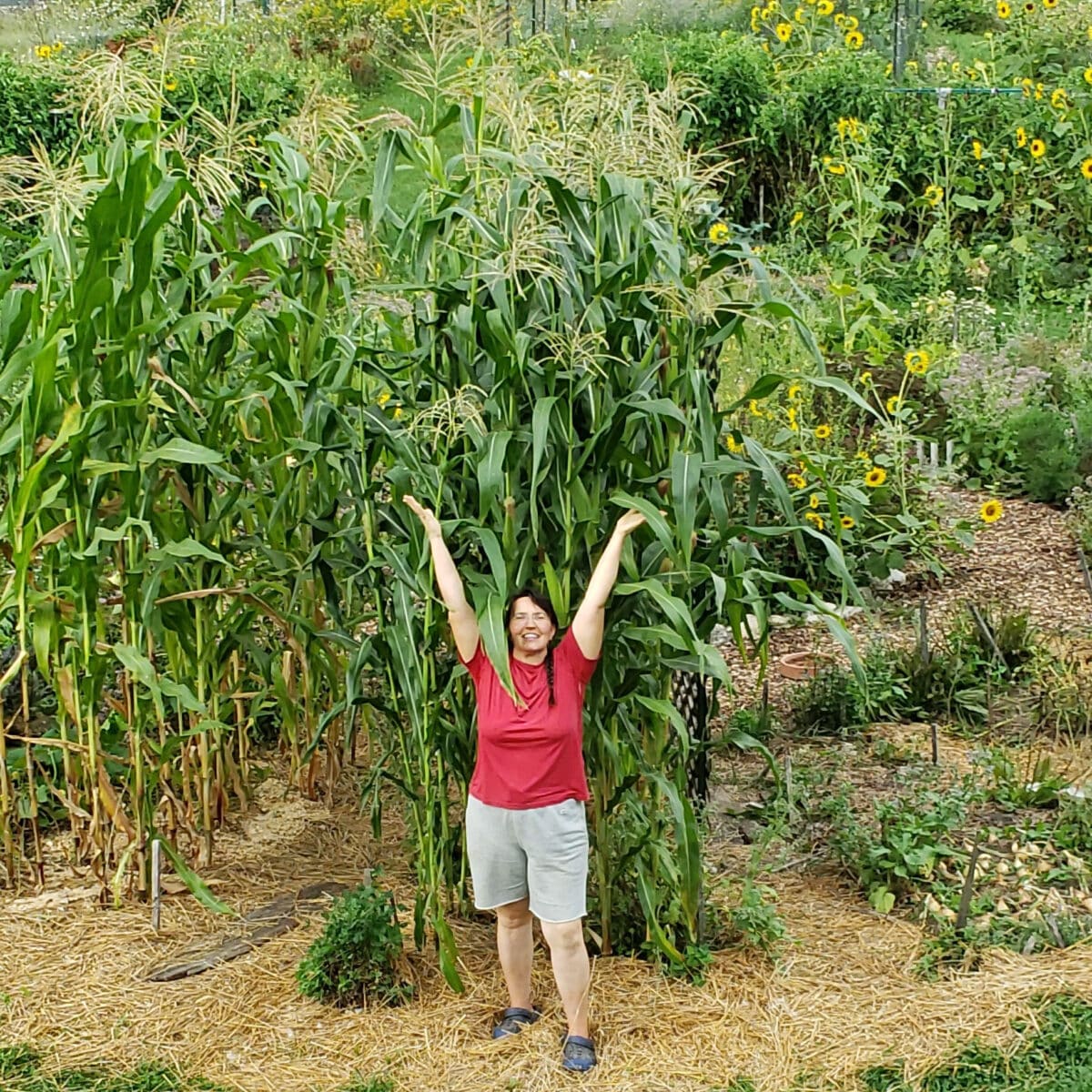 Laurie standing next to tall corn