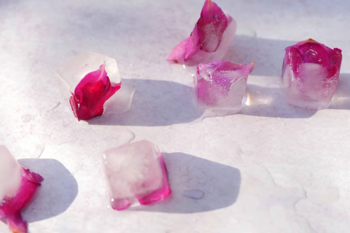 rose petals in ice cubes