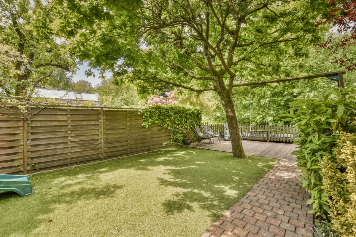 tree shaded yard near home